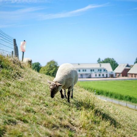 Ferienwohnung 4 "Gut Tossens" Kültér fotó